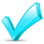 light blue checkmark