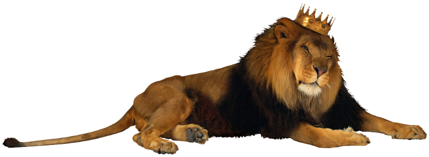 lion king