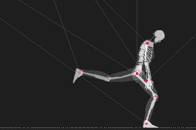x ray walker